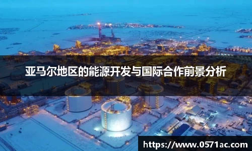 亚马尔地区的能源开发与国际合作前景分析